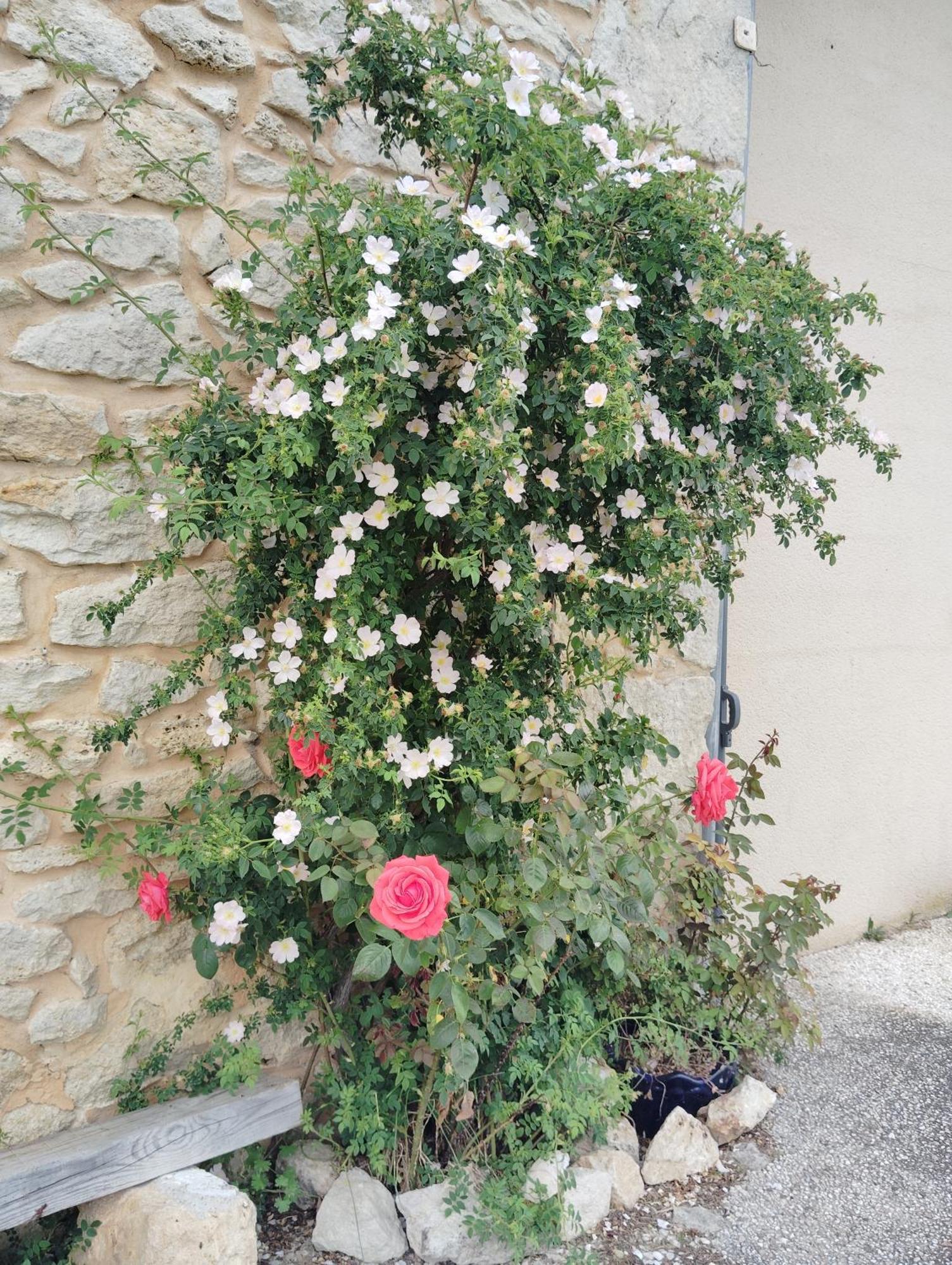 Gite L'Edenwine Doulezon 외부 사진