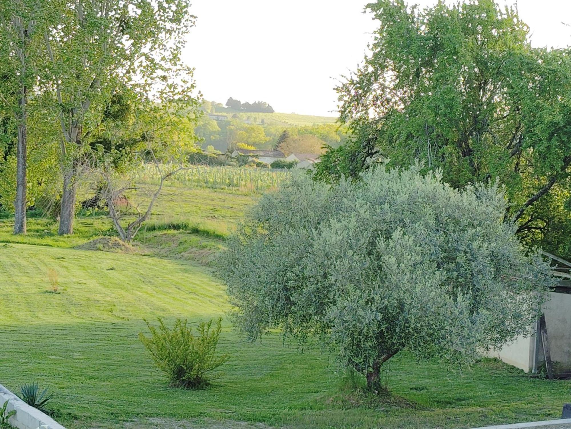 Gite L'Edenwine Doulezon 외부 사진