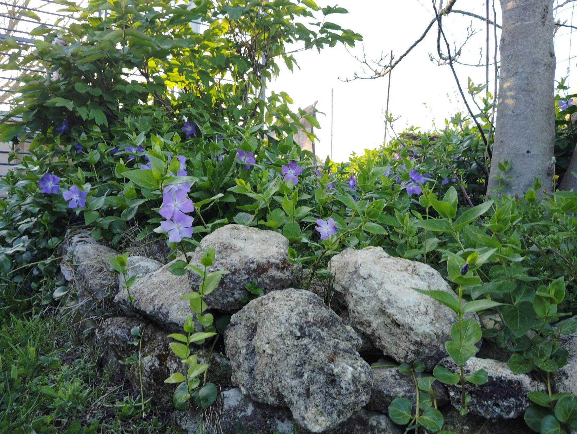 Gite L'Edenwine Doulezon 외부 사진