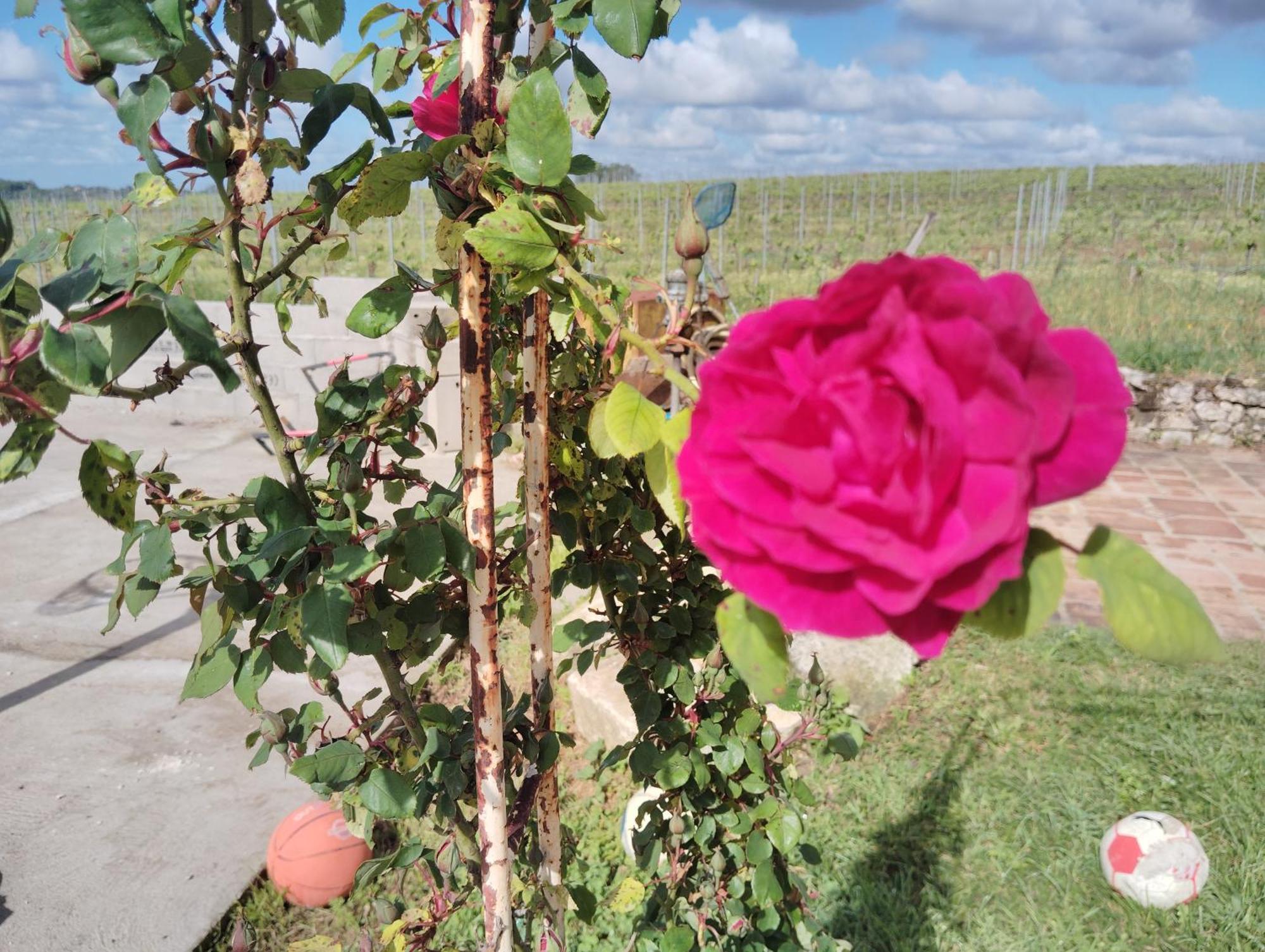Gite L'Edenwine Doulezon 외부 사진